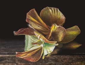 'Plukje hortensia', oil/wood, 16x21 cm